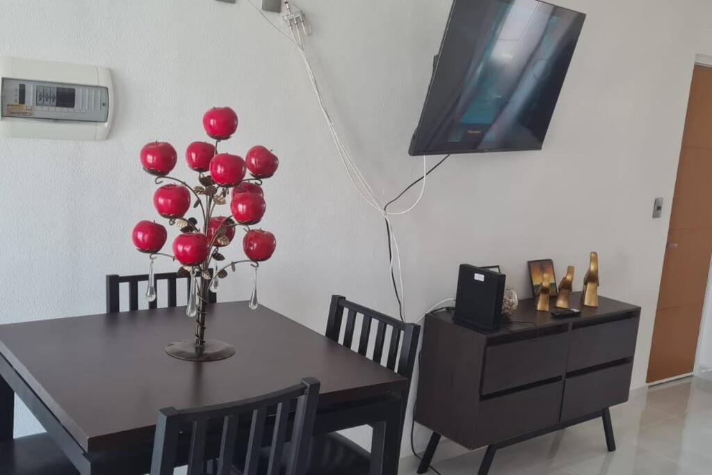 Apartmán Bonito Penthouse Con Roof Garden Manzanillo Exteriér fotografie